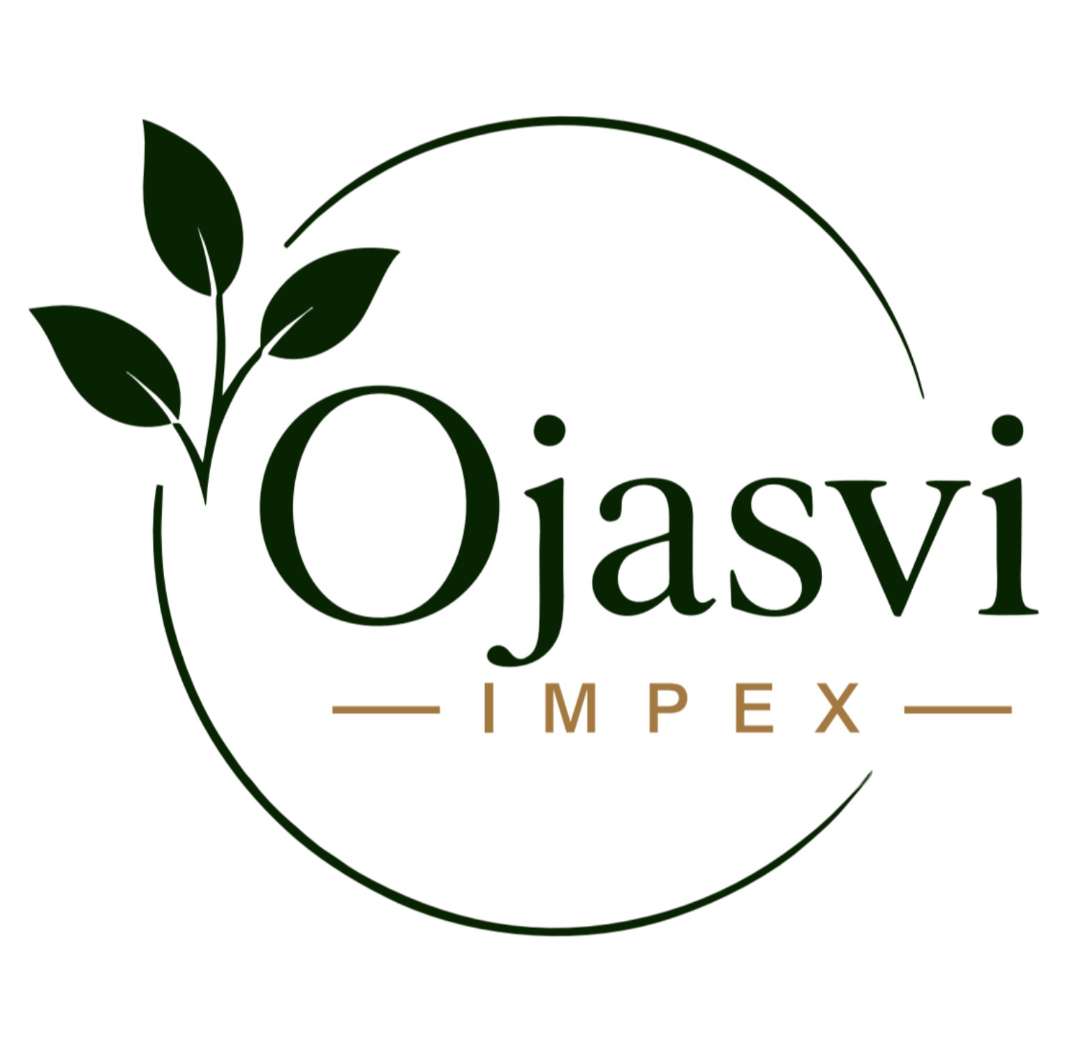 Ojasvi Impex
